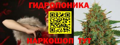 мдпв Пенза